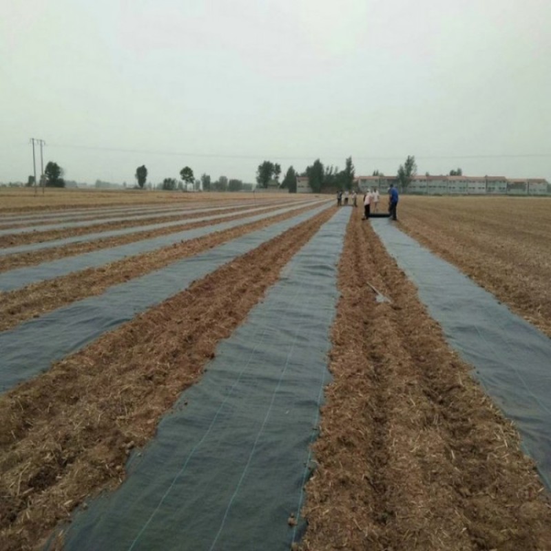 PE防草布除草布90克火龙果药材防草果园遮草盖草布农用