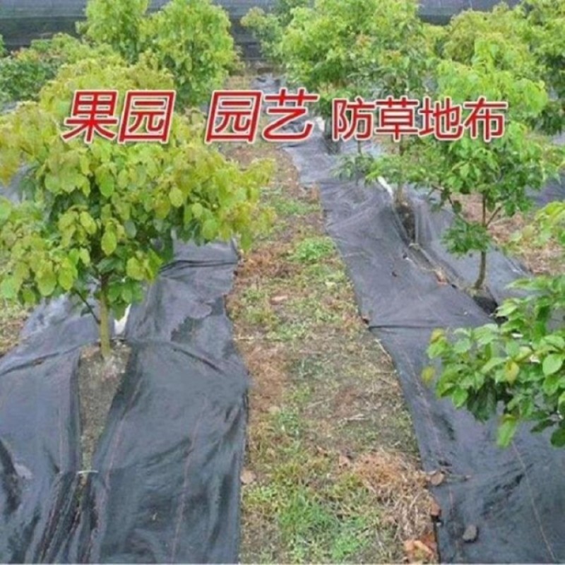 厂家批发1.2米宽PP防草布防草地布农用园艺地布