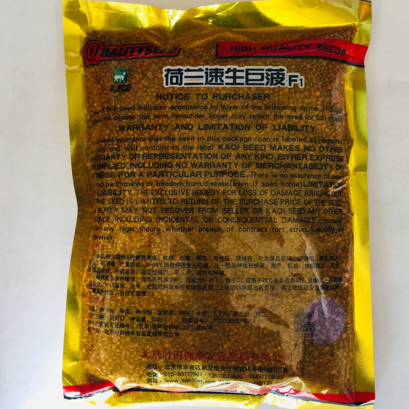 菠菜种子荷兰速生菠菜种子抗病耐寒生长快高产商品性好适应广