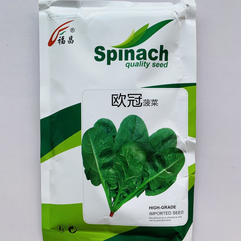 菠菜种子荷兰速生菠菜种子抗病耐寒生长快高产商品性好适应广