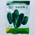 菠菜种子荷兰速生菠菜种子抗病耐寒生长快高产商品性好适应广