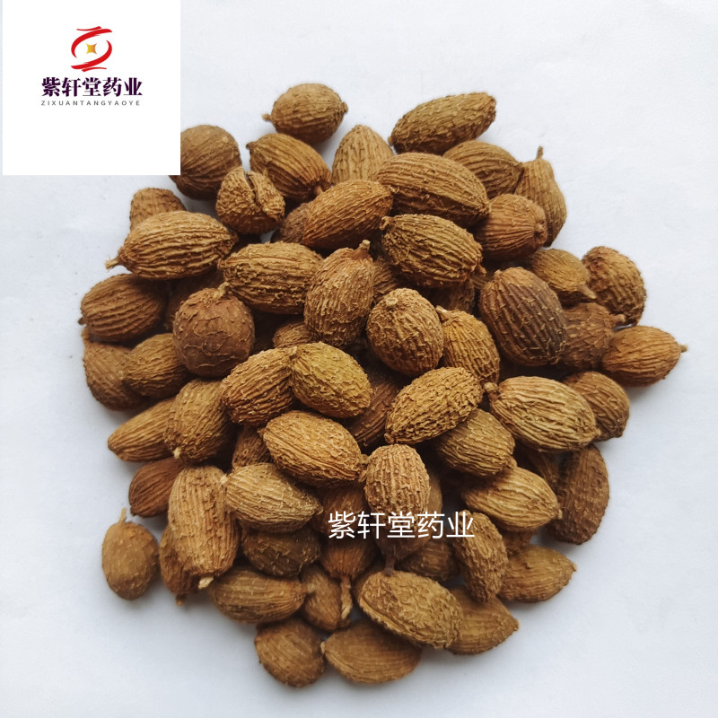 砂仁砂仁统货地道药材紫轩堂药业中药材批发