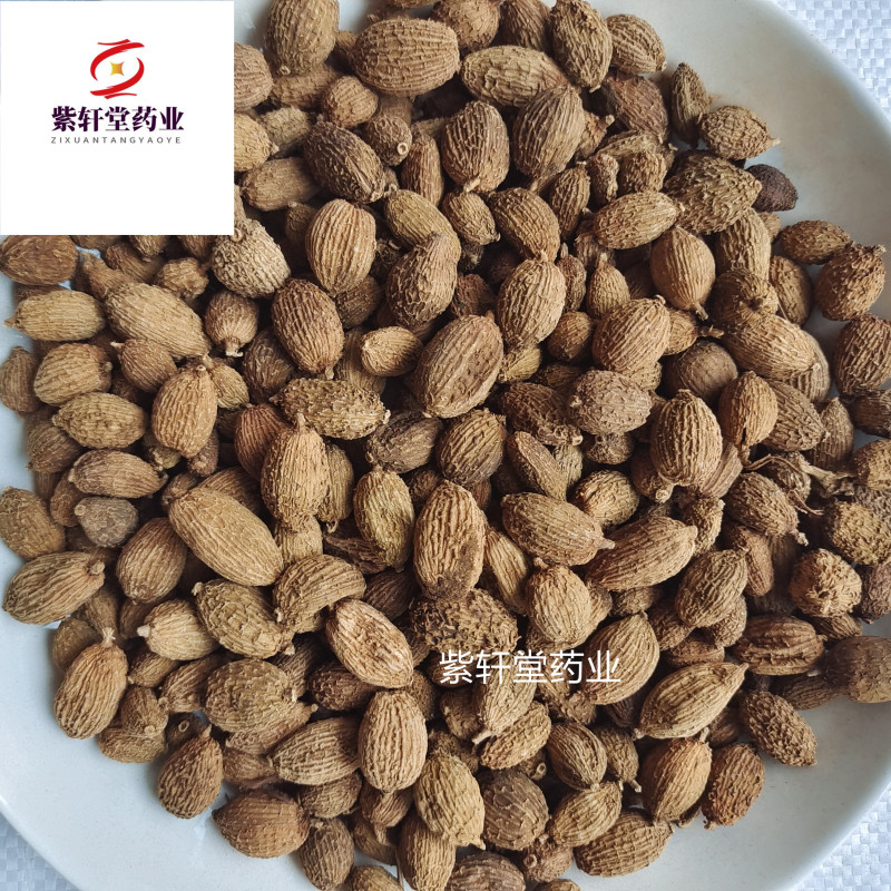 砂仁砂仁统货地道药材紫轩堂药业中药材批发