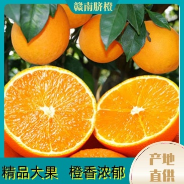 橙子赣南脐橙,口感纯正肉甜多汁产地直发欢迎考察!