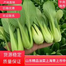 山东精品油菜上海青上市中价格产地直销欢迎