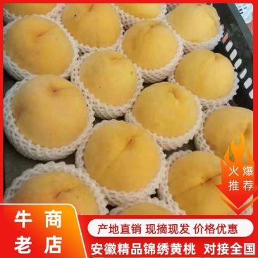 安徽锦绣黄桃基地直供，货源充足，直供全国，诚信经营。