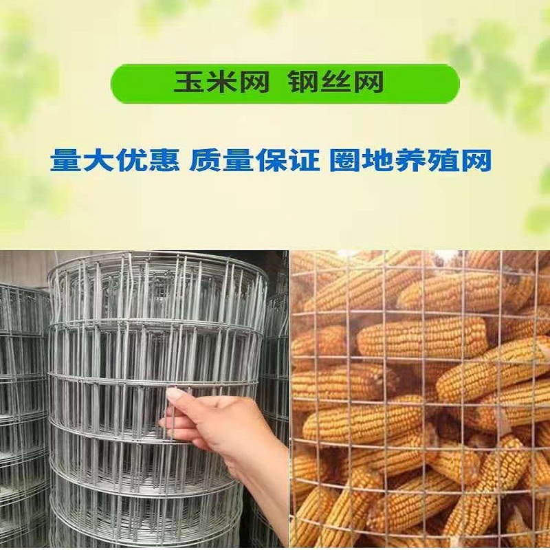 圈玉米网铁丝网围栏养殖网装玉米笼钢丝镀锌电焊网养鸡护栏防