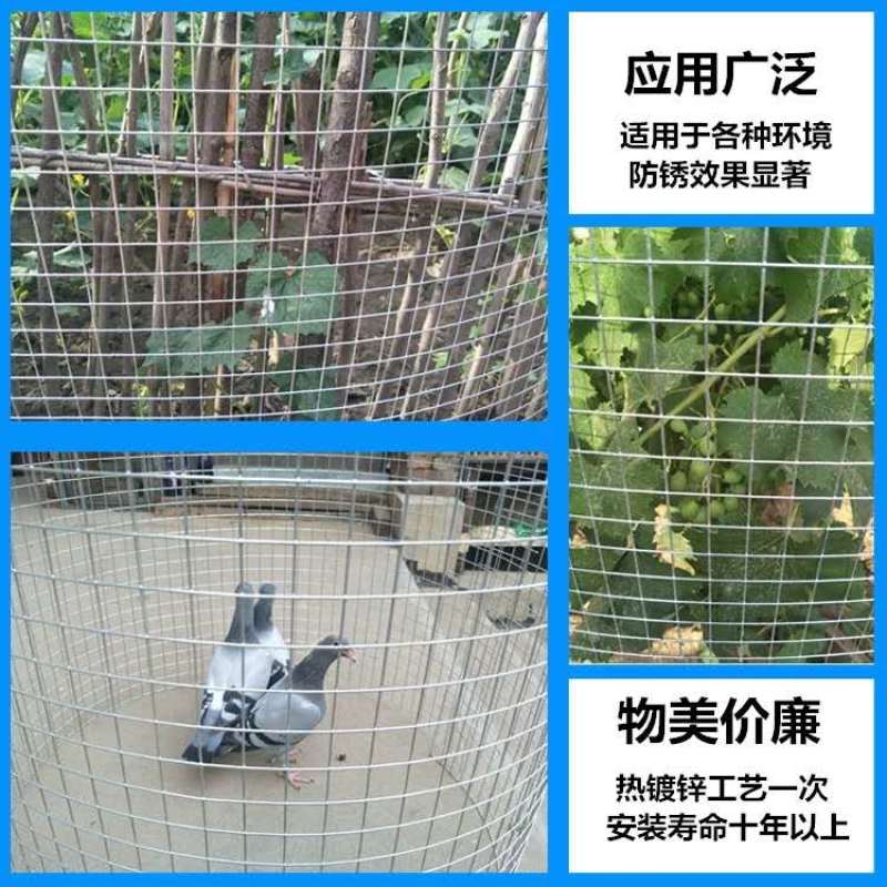 圈玉米网铁丝网围栏养殖网装玉米笼钢丝镀锌电焊网养鸡护栏防