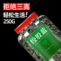 绞股蓝茶叶七叶胶股蓝茶500g非平利绞股蓝特级可搭配罗布