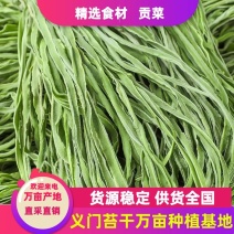 云南贡菜干净无杂提供纸箱袋子打捆定制切段