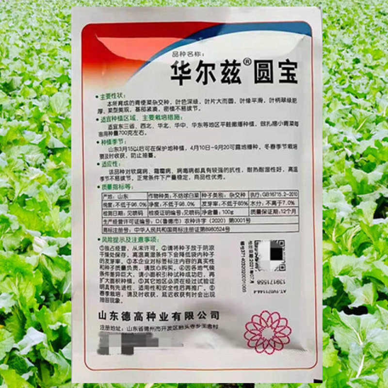 青梗菜种子华尔兹圆宝高产抗病抗热耐雨耐贮运优质杂交小青菜