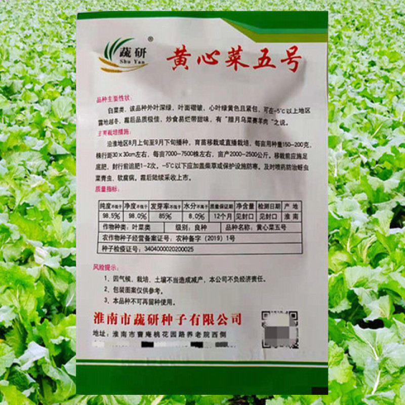 黄心乌种子蔬研黄心菜五号高产抗病耐寒耐贮运优质乌塌菜白菜