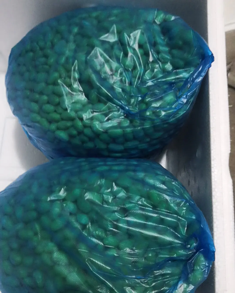 【精选】江苏鲜毛豆粒，大量供应，诚信经营欢迎来电