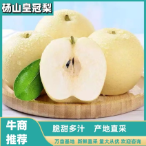 《精选》皇冠梨砀山皇冠梨产地直采直发全国各地发货