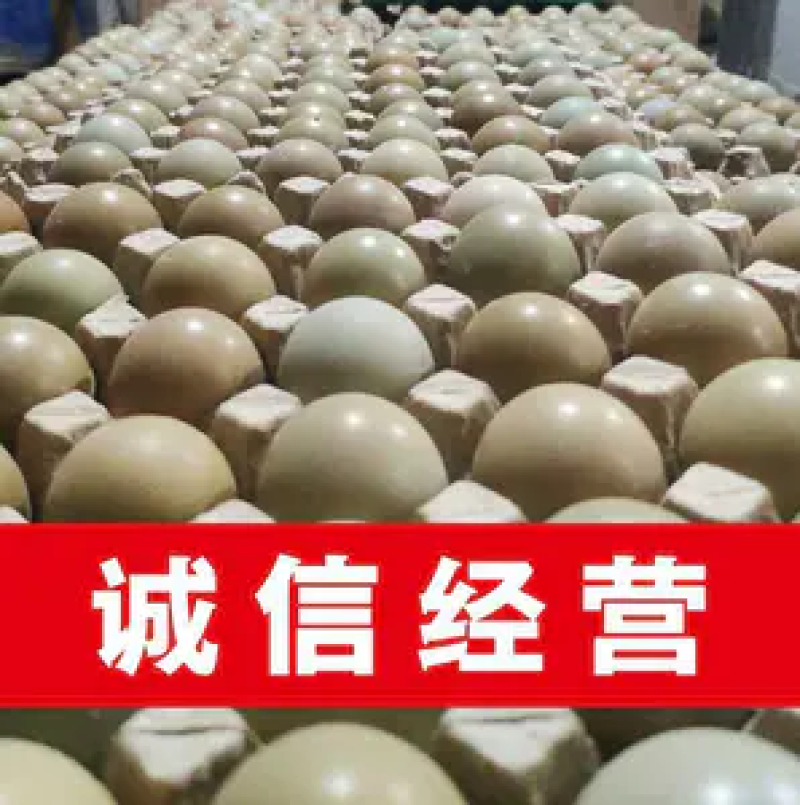 山东野鸡蛋一箱60和1008枚，欢迎选购，农户直发