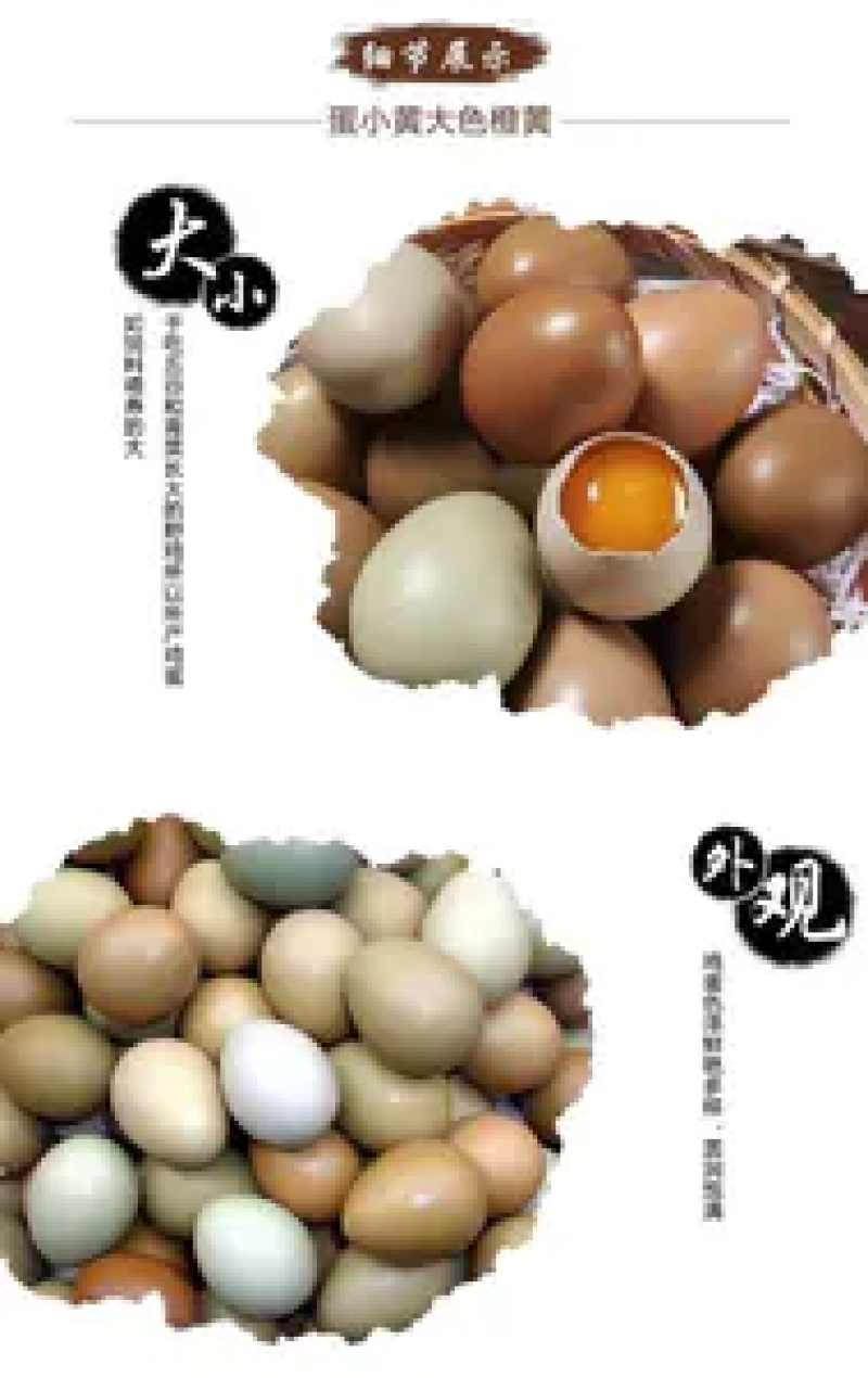 山东野鸡蛋一箱60和1008枚，欢迎选购，农户直发