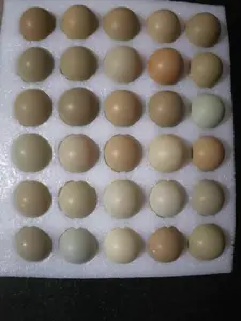 山东野鸡蛋一箱60和1008枚，欢迎选购，农户直发