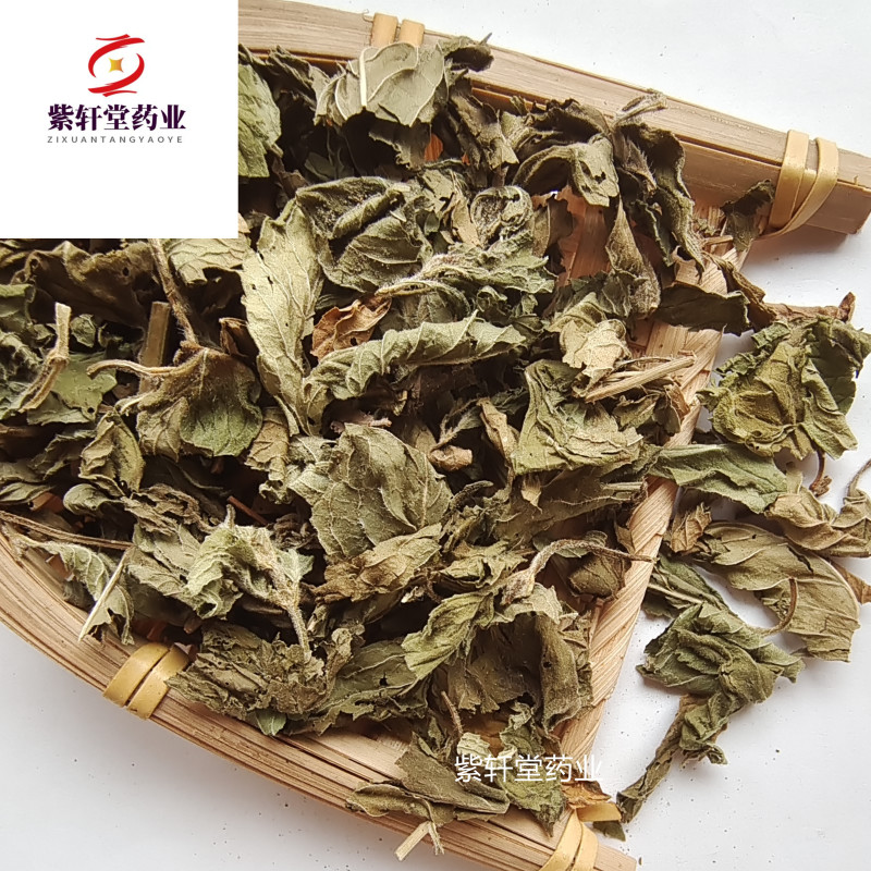 薄荷薄荷今年颜色绿地道药材产地山东省紫轩堂药业