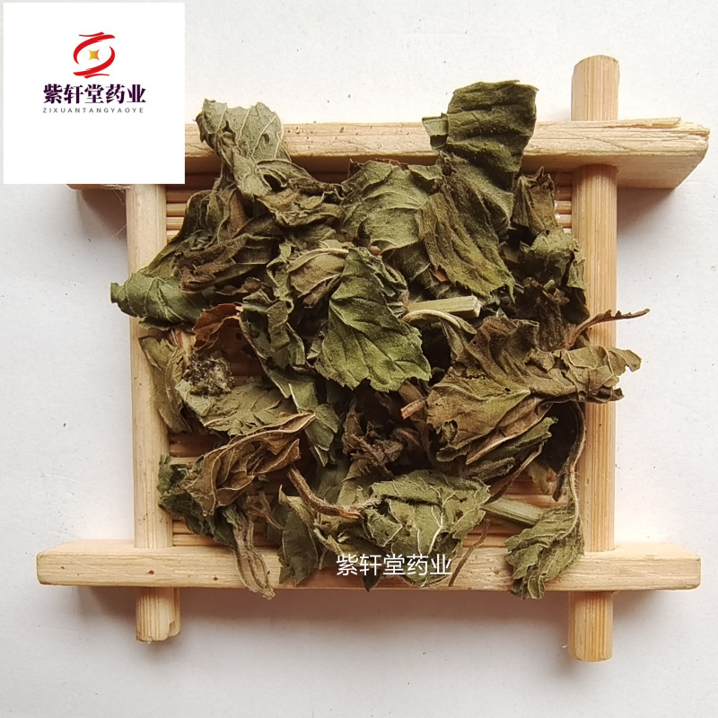 薄荷薄荷今年颜色绿地道药材产地山东省紫轩堂药业
