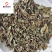 薄荷薄荷今年颜色绿地道药材产地山东省紫轩堂药业