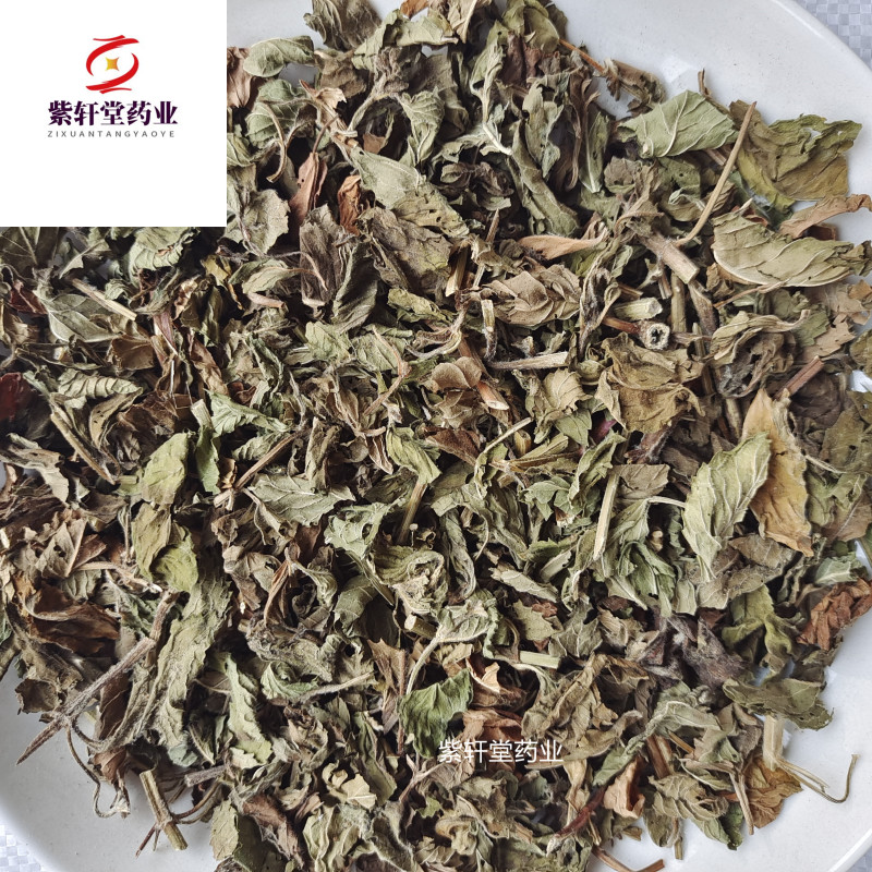 薄荷薄荷今年颜色绿地道药材产地山东省紫轩堂药业