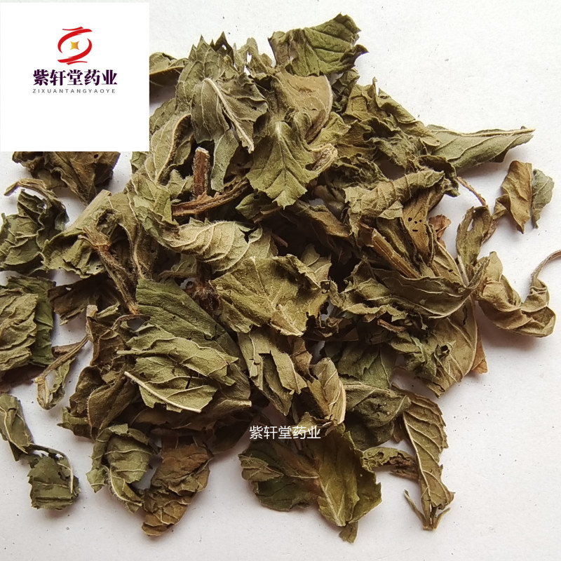 薄荷薄荷今年颜色绿地道药材产地山东省紫轩堂药业