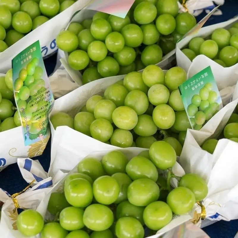 湖南阳光玫瑰葡萄产地直发/甜而不腻/全国供应