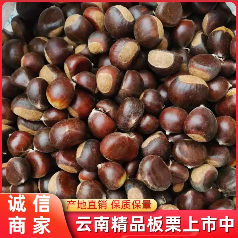云南优质板栗，代收代储，产地直供一手货源，诚信服务。