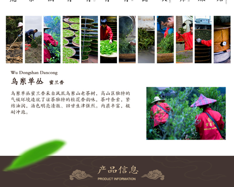 贡茗春凤凰单丛功夫茶潮州单丛茶叶蜜兰香蜜兰悠韵乌