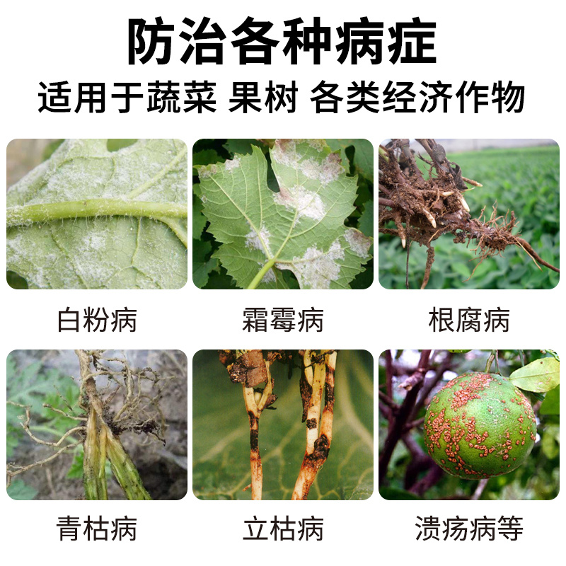 【热销】枯草芽孢杆菌微生物菌剂枯草芽孢杆菌农用菌肥料