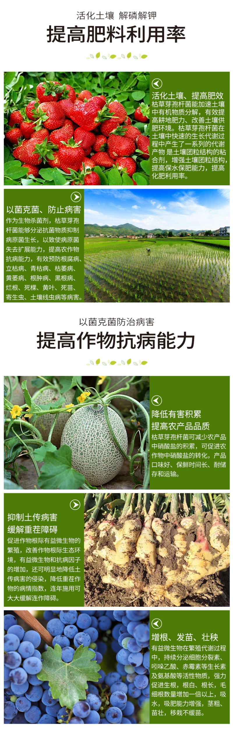 【热销】枯草芽孢杆菌微生物菌剂枯草芽孢杆菌农用菌肥料