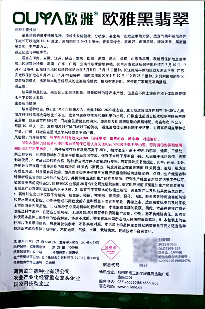 大黑欧雅黑翡翠薄皮辣椒种子北方秋季南方秋冬种植
