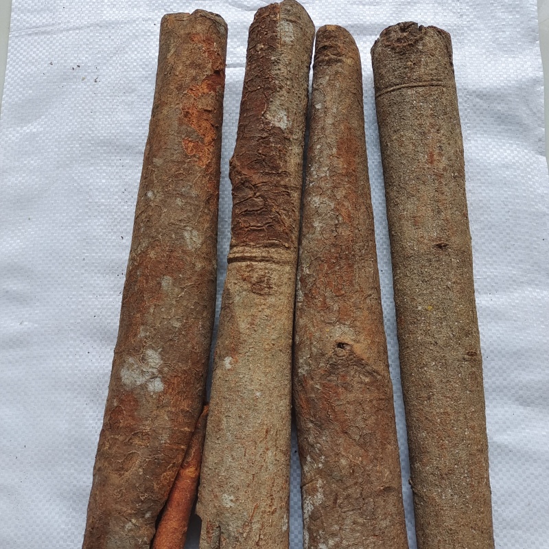 肉桂桂皮统货产地广西1000g中药材批发规格