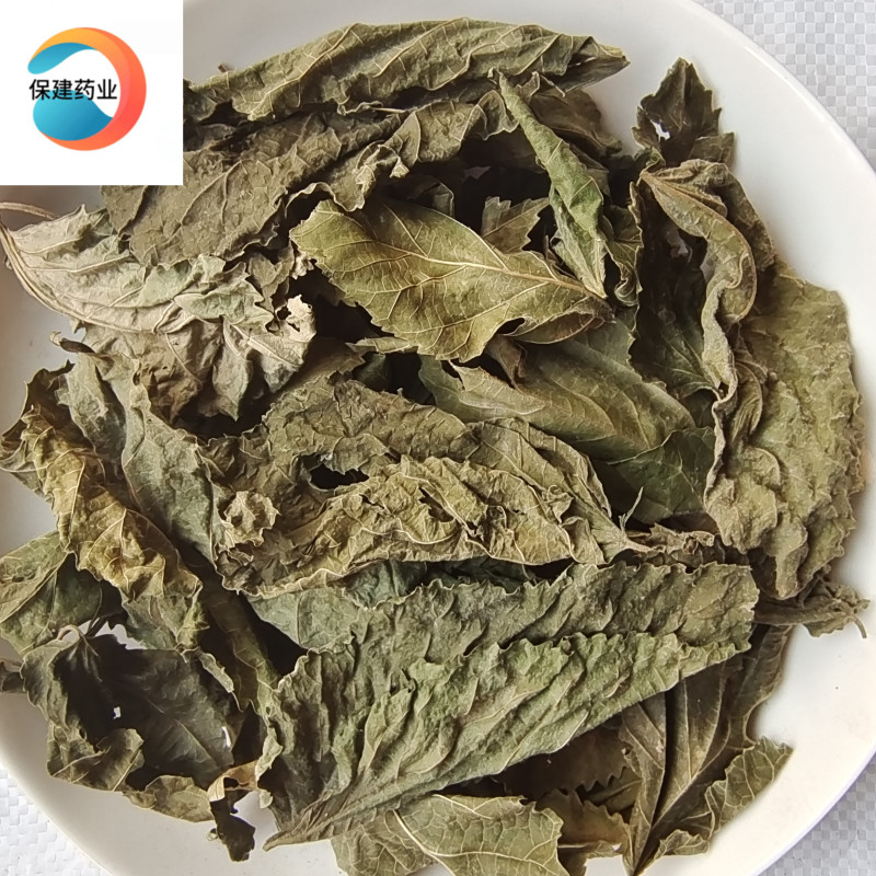 桑叶青桑叶统货山东产【良心经营品种齐全】保建药业