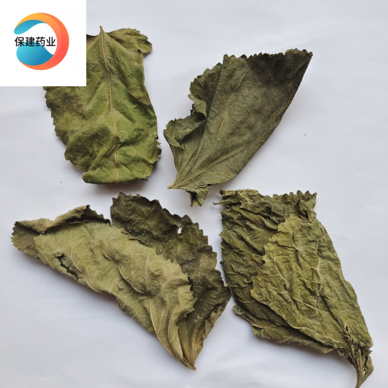 桑叶青桑叶统货山东产【良心经营品种齐全】保建药业