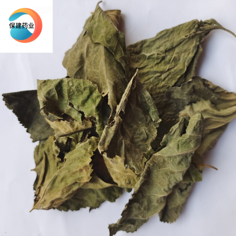 桑叶青桑叶统货山东产【良心经营品种齐全】保建药业
