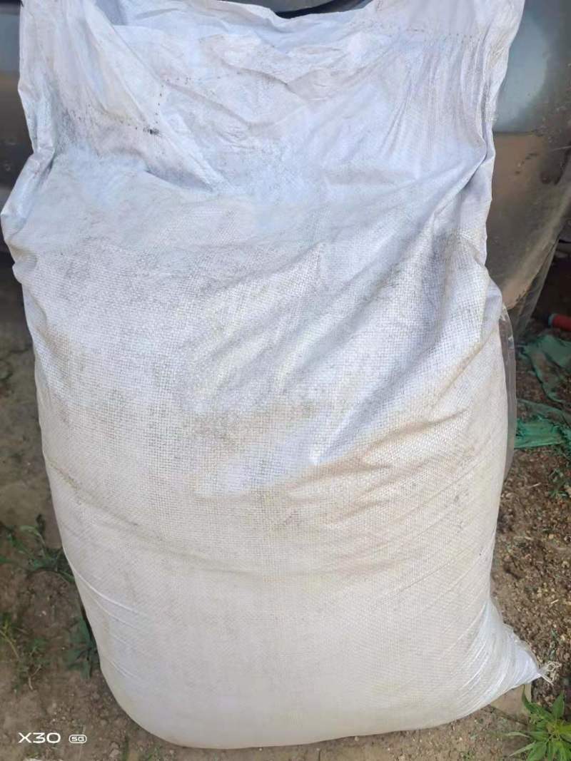 山东德州猪粪，发酵猪粪，保质保量厂家直销欢迎实地考察！
