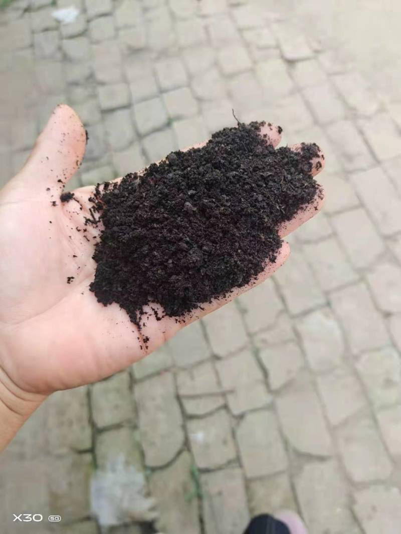 山东德州猪粪，发酵猪粪，保质保量厂家直销欢迎实地考察！