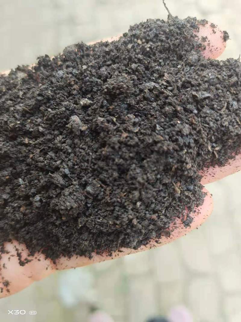 山东德州猪粪，发酵猪粪，保质保量厂家直销欢迎实地考察！