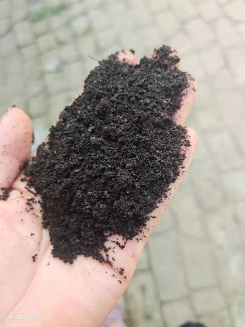 山东德州猪粪，发酵猪粪，保质保量厂家直销欢迎实地考察！