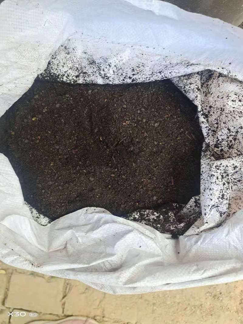 山东德州猪粪，发酵猪粪，保质保量厂家直销欢迎实地考察！