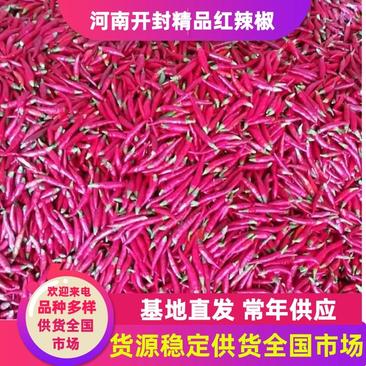 精品三樱椒中辣红，品质保证，货源稳定，常年供货全国市场