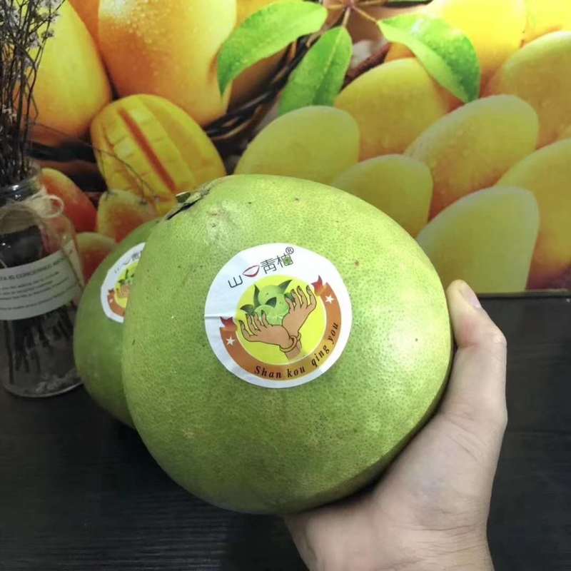 顺丰包邮~海南澄迈山口青柚，富硒长寿柚，限定果园