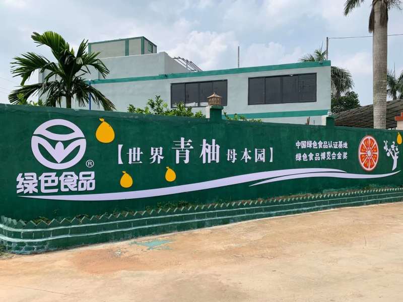 顺丰包邮~海南澄迈山口青柚，富硒长寿柚，限定果园