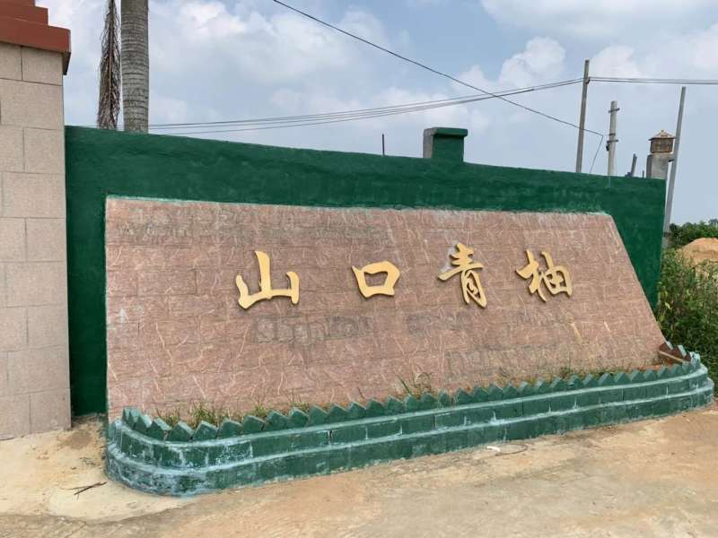 顺丰包邮~海南澄迈山口青柚，富硒长寿柚，限定果园