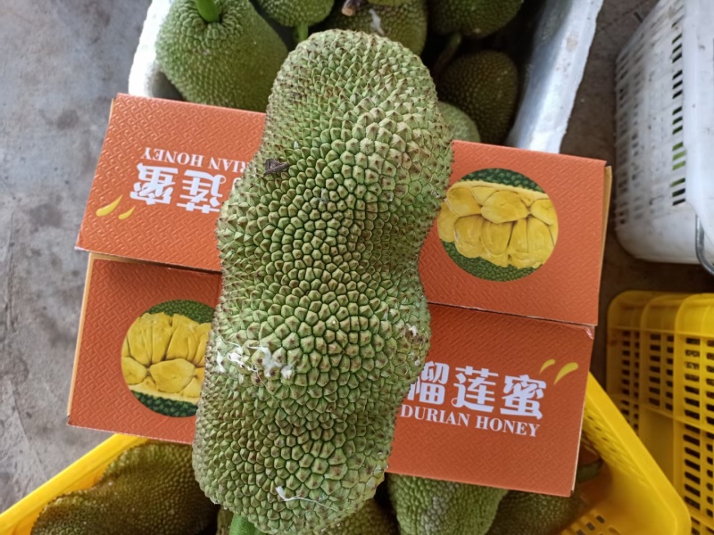 顺丰包邮~海南榴莲蜜，菠萝蜜+榴莲香味，甜度高