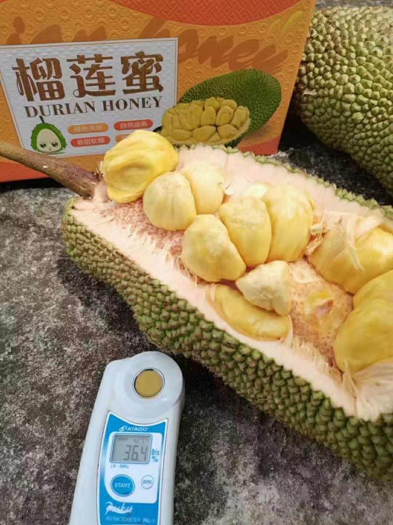 顺丰包邮~海南榴莲蜜，菠萝蜜+榴莲香味，甜度高