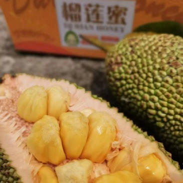 顺丰包邮~海南榴莲蜜，菠萝蜜+榴莲香味，甜度高