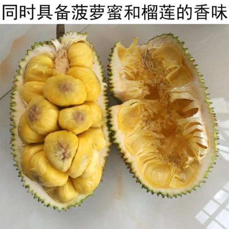 顺丰包邮~海南榴莲蜜，菠萝蜜+榴莲香味，甜度高