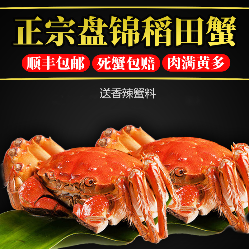 【现货】社区团购盘锦河蟹批发供货大闸蟹保肥电商供应以订制